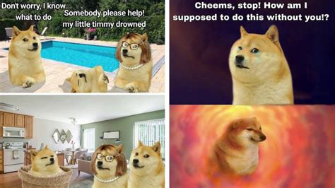 doggystyle memes|15 Doge Memes For A Glimpse Into The Dogeverse.